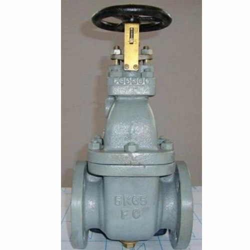 F7364 Marine Flanged Cast Iron Gate Valve