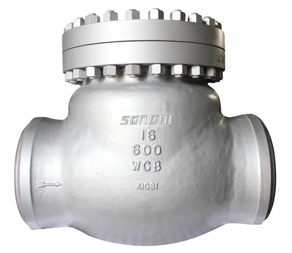 Power plant check valve