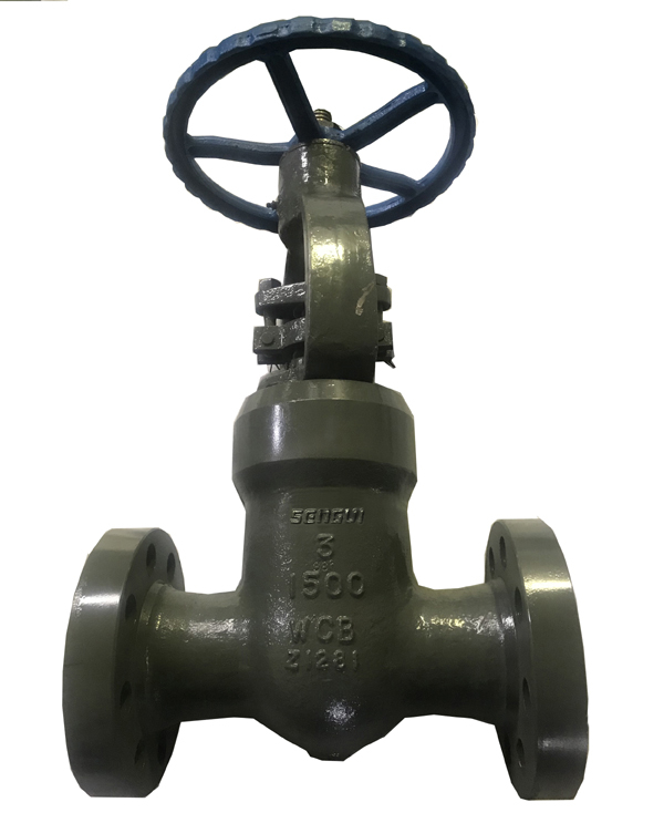 American Standard High Pressure Gate Valve