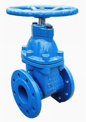 Elastic gate valve