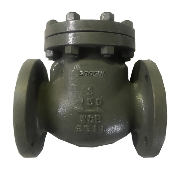 Flange swing check valve