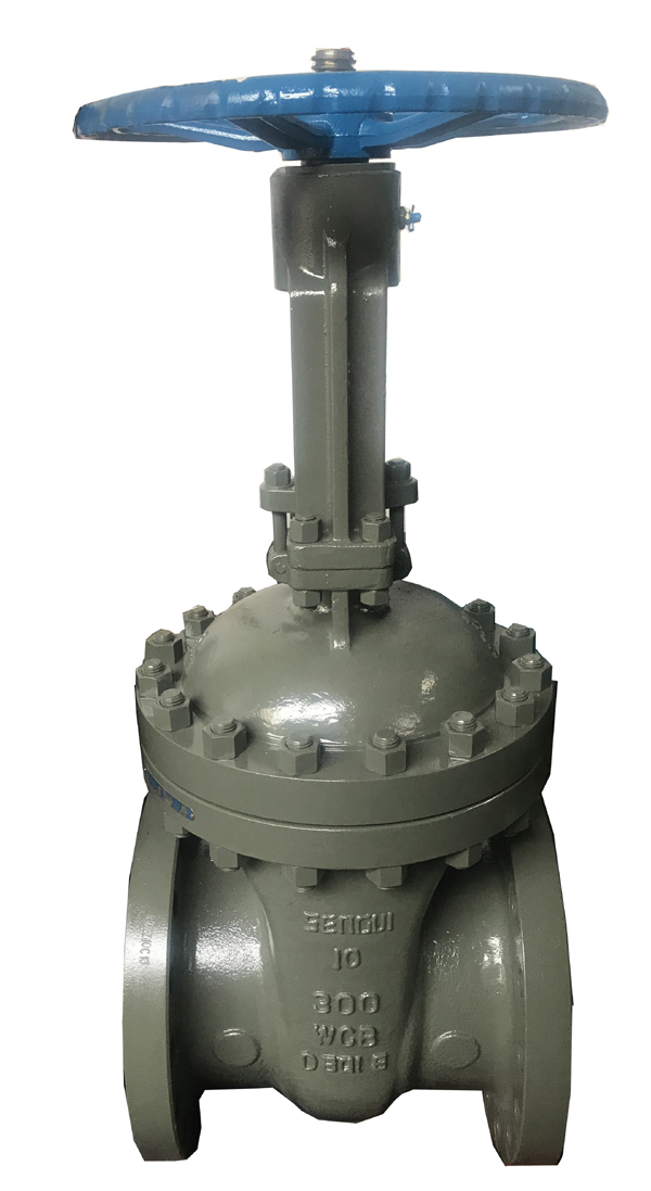 American gate valve