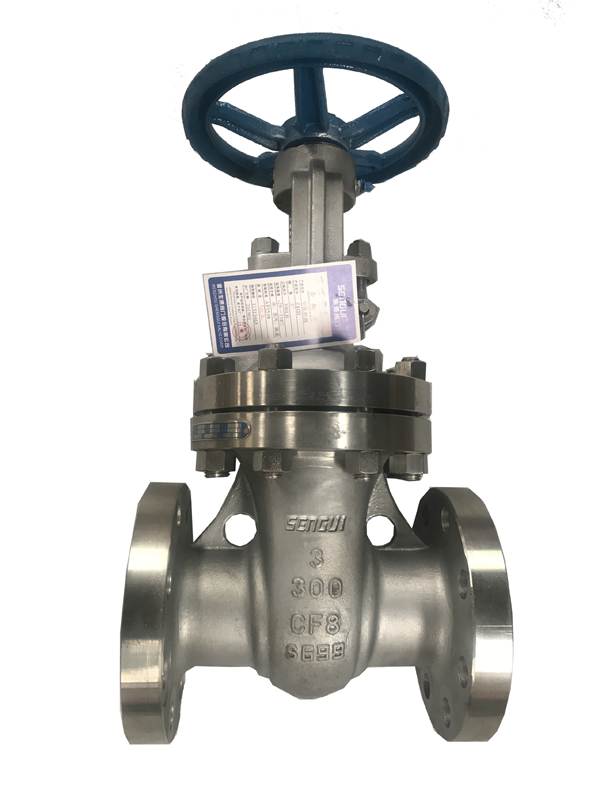 Stainless steel gate valve