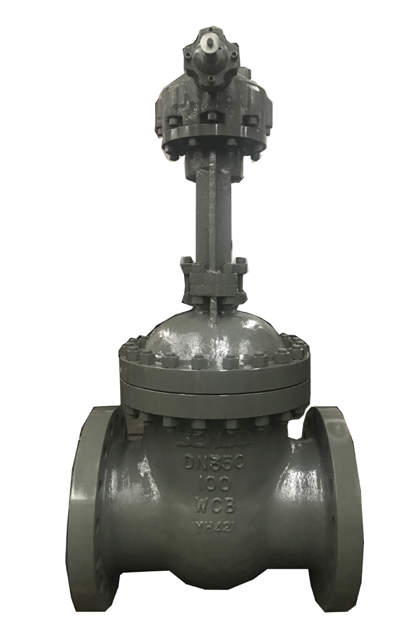 National Standard High Pressure Gate Valve