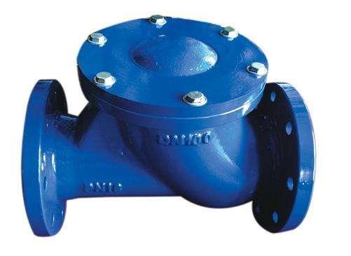 Ball Check Valve