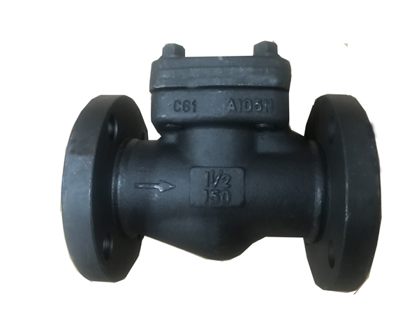 Forged steel flange check valve