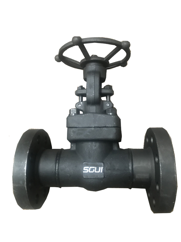 Forged steel flange gate valve